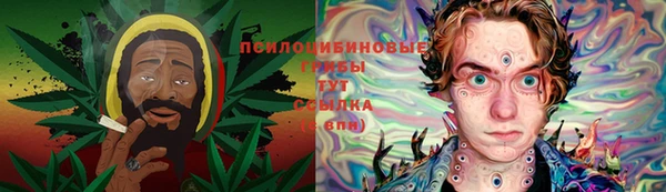 не бодяженный Богданович