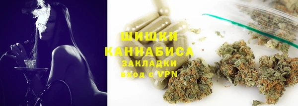 PSILOCYBIN Богородск