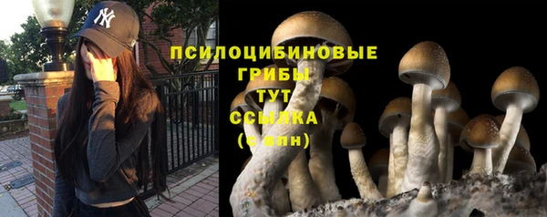 бутират Богородицк
