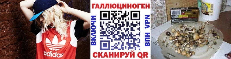 площадка наркотические препараты  Михайловск  Псилоцибиновые грибы мухоморы 